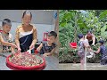 How To Make Colorful Sticky Rice Using Natural Leaves The Whole Process DANG THI DU 