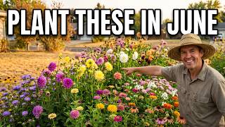 Plant These in JUNE! 15 LAZY Perennials That Bloom NONSTOP Until Frost 🌼