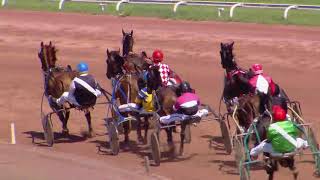 Vidéo de la course PMU PRIX DE L'AMITIE DIVONNE-AVENCHES