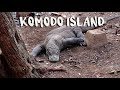 KOMODO ISLAND BOAT TRIP (2019)