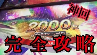 ゲーセンフィッシングスピリッツで戦った結果メダル爆増