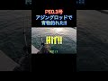 PE0.3号のアジングタックルで巨大青物が釣れた!! #shorts #アジング #ショアジギング #セットアッパー #ブリ