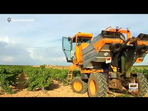 Vendimia 2018 en Villarrobledo - En Profundidad - CMM