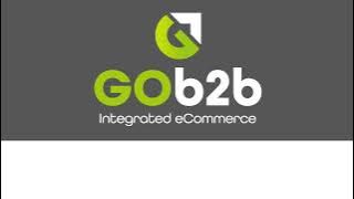 GOb2b Interprise 2 minute video