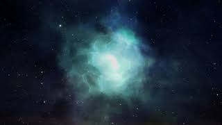 Black Willows - Interlude I