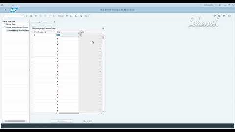 24. SAP GRC - BRM - Configuration - Maintain Role Methodology