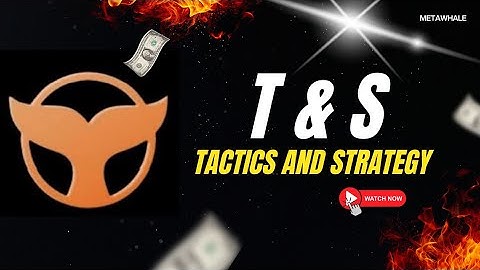 Meta Whale T&S Program | Small Investment, Fast Earnings | Complete Guide