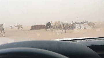 دحيم الحماد 1443ه تلاوة من سورة نوح في البادية