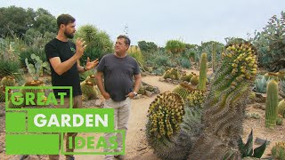 Jason Visits the LARGEST Cactus Collection in Australia | GARDEN | Great Home Ideas