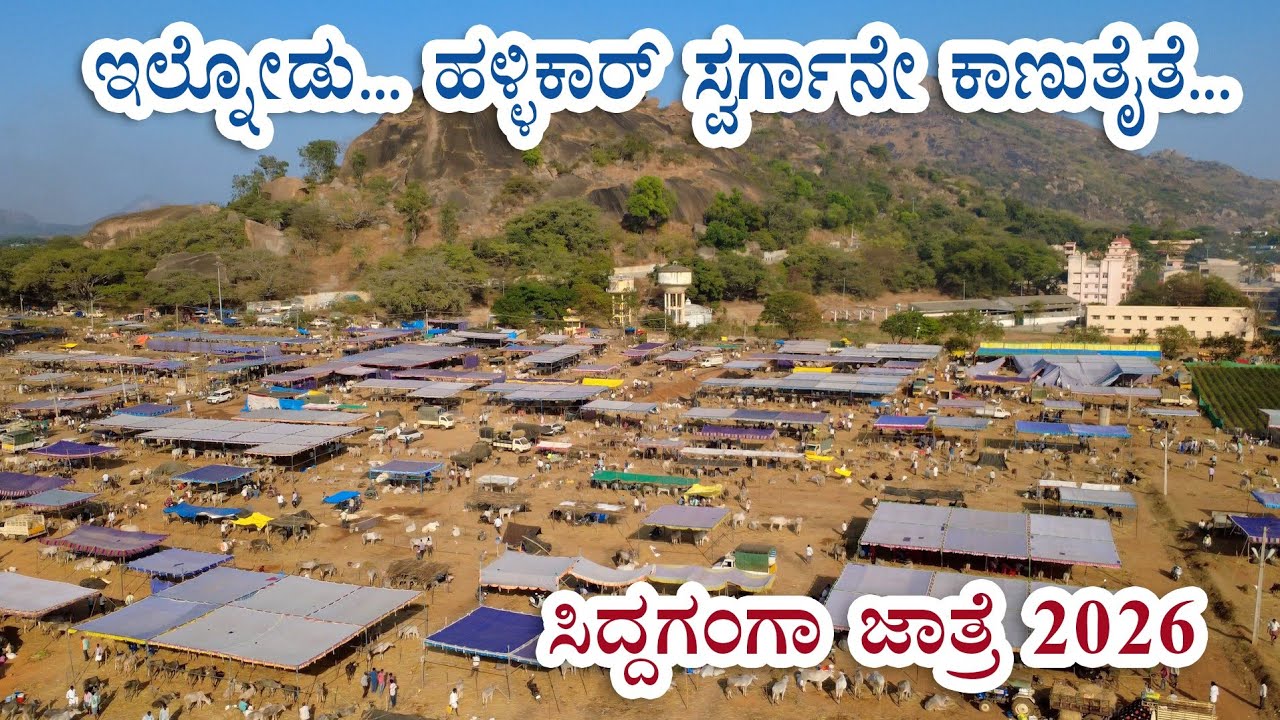 ಸಿದ್ದಗಂಗಾ ಜಾತ್ರೆ 2026 - ಭವ್ಯ ಮನೋಹರ ವಿಹಂಗಮ ದೃಶ್ಯ 