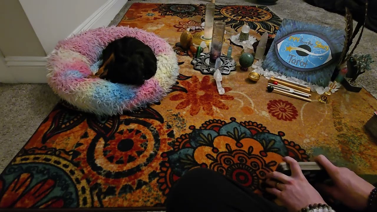 She's going to expose them all.