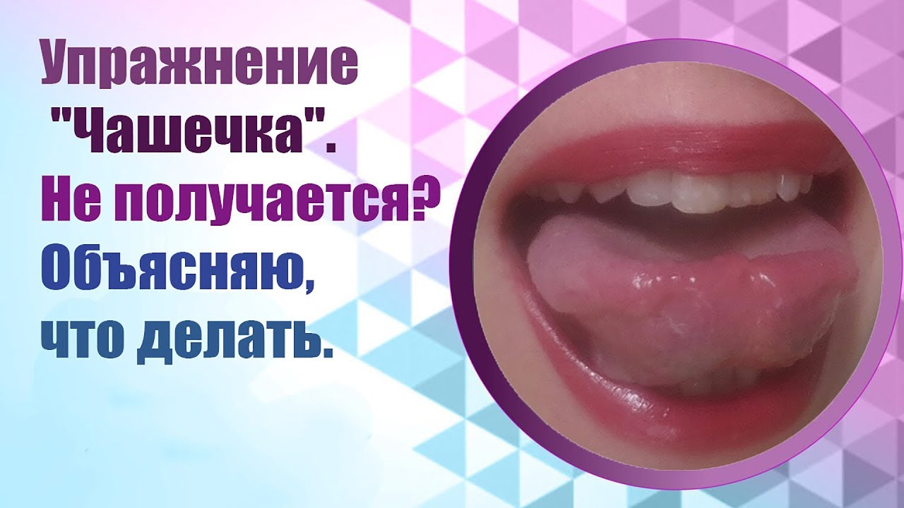 ������������ ���� �����������: ����.