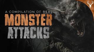 20 People ATTACKED by Strange Creatures COMPILATION