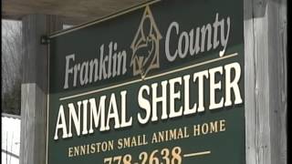 Nealry 100 animals seized from Wilton home