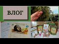 ВЛОГ/Срочно выкопайте колеусы/Почему такие имена у КОШЕК /Заказ из IHERB