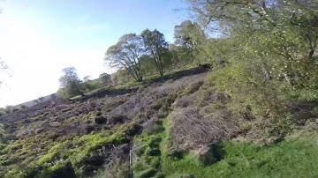 TBS Powercube V2 Loving The Trees