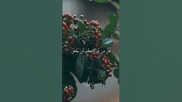 اللَّهُ الَّذِي خَلَقَكُمْ ثُمَّ رَزَقَكُمْ ثُمَّ يُمِيتُكُمْ || سورة الروم || علي جابر