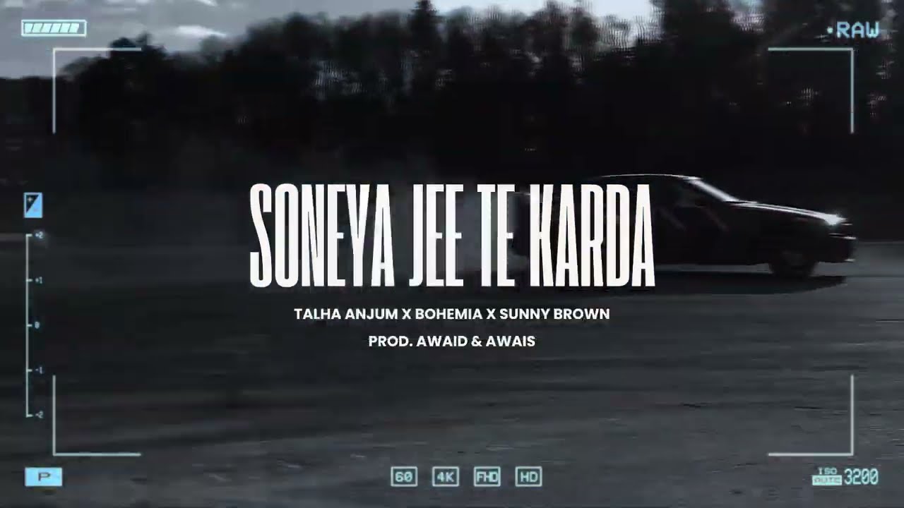 Soneya Jee Te Karda (HipHop  Mix) | Bohemia x Talha Anjum | Prod. By AWAID & AWAIS | @RSTPiXELS