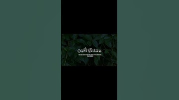 الشيخ محمد المنشاوي رحمه الله 🖤سورة ﴿الضحى﴾ #quran  -القرآن الكريم- 🥀🍂