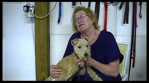 Janis Moore Tells Her PTSD Story