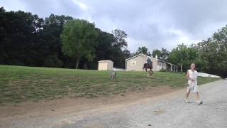 M4H04043.MP4