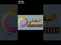 النبطشي 1
