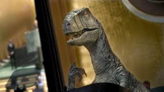 30 TV PSA   Don't Choose Extinction