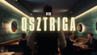 DESH - OSZTRIGA (Official Music Video) chords