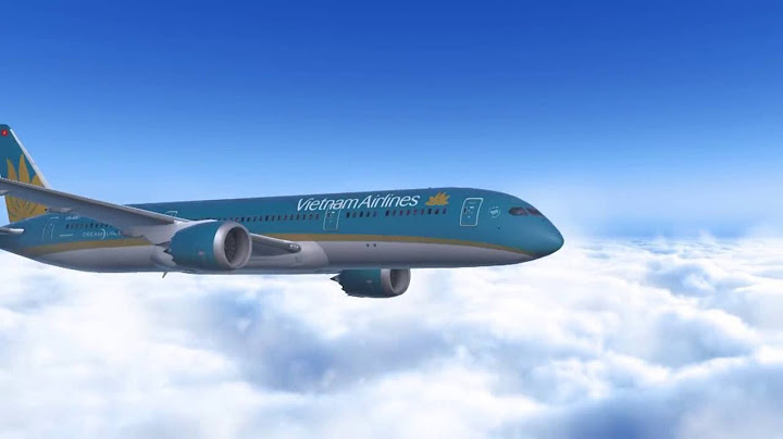 Dịch vụ mặt đất Vietnam Airlines