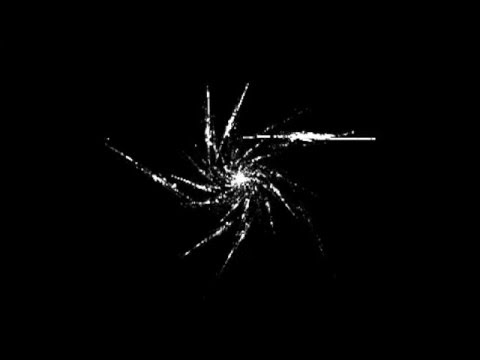 Evolving iterated function systems