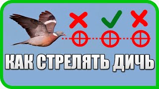 КАК ПРАВИЛЬНО СТРЕЛЯТЬ ЛЕТЯЩУЮ ДИЧЬ? РЕАЛЬНЫЕ ПРИМЕРЫ