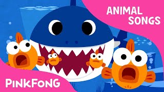 Baby Shark Doo Doo Doo | Baby Shark | Animal Songs | PINKFONG Songs for Children