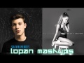 Why try the weight shawn mendes vs ariana grande mashup