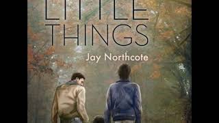 Audiobook Sample of The Little Things by Jay Northcote