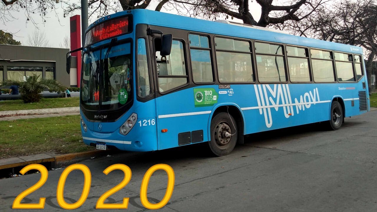 Bondis en 2020 (Parte 1)