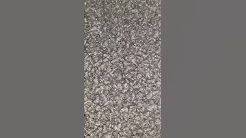 Ốc ủ thính Lắc 3 câu cá trắm đen