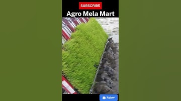 Automatic rice transplanter machine 8 row 4 @agromelamart #agriculture #planting