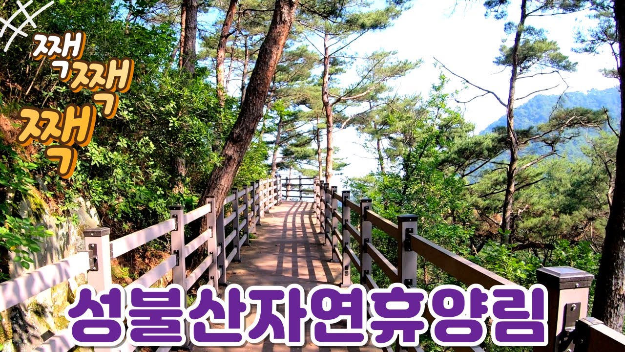 3박이 필요한 성불산자연휴양림 ver. 202306ㅣ(충북 괴산)자연휴양림 4K ep.19