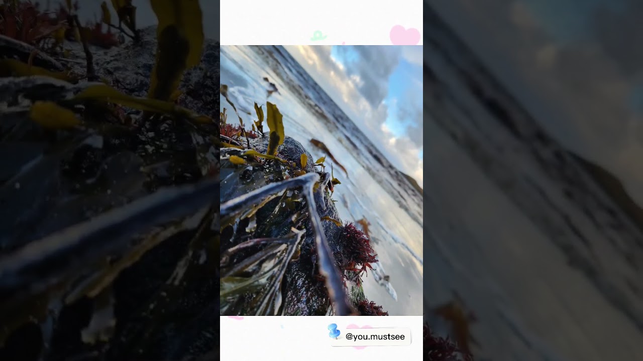 Love Scotland, amazing South Uist, beautiful place, happy 2023