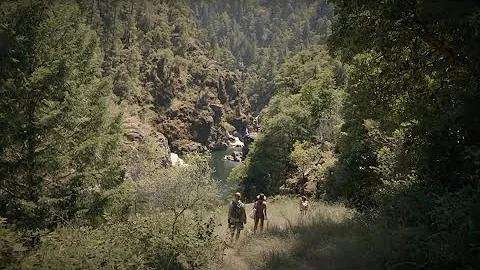 Sunlight Through Leaves [music video)