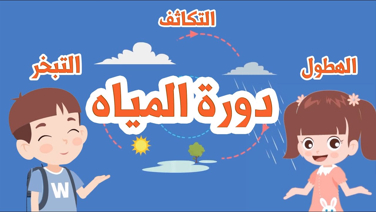 دورة الماء في الطبيعة | كيف يتكون المطر | لماذا تمطر | Water Cycle for Kids