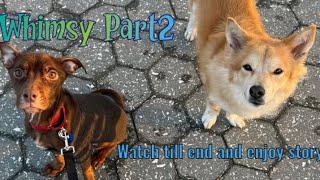 Whimsypart 2 Story