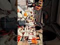 तुकाराम महाराज पालखी प्रस्थान व्हिडिओ