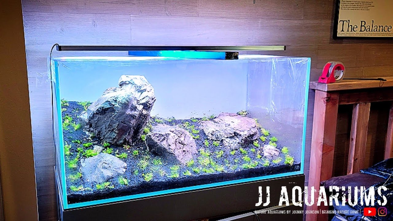 rimless aquarium