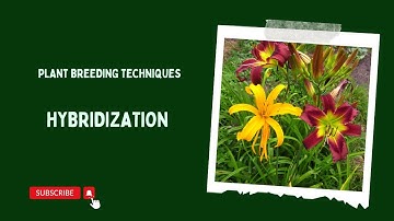 Hybridization in Plants  #plantbreeding #hybrid