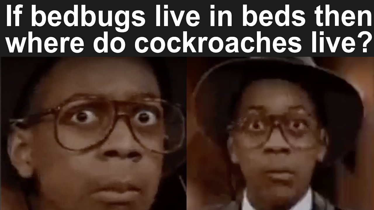 FRESH DANK MEMES 137