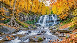 Quiet Your Mind & Relax 🍂 Soft Piano Music for Stress Relief and Focus screenshot 3