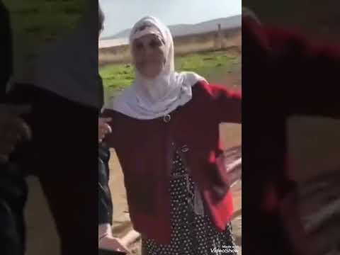 كي يشطحو الشاوية اقعد اتفرج Mariage Shortvideo اكسبلور اشتراك 