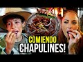 MI HIJO Degustando INSECTOS en MÉXICO ! No lo puedo creer !!!! CECI DOVER REACCIONA