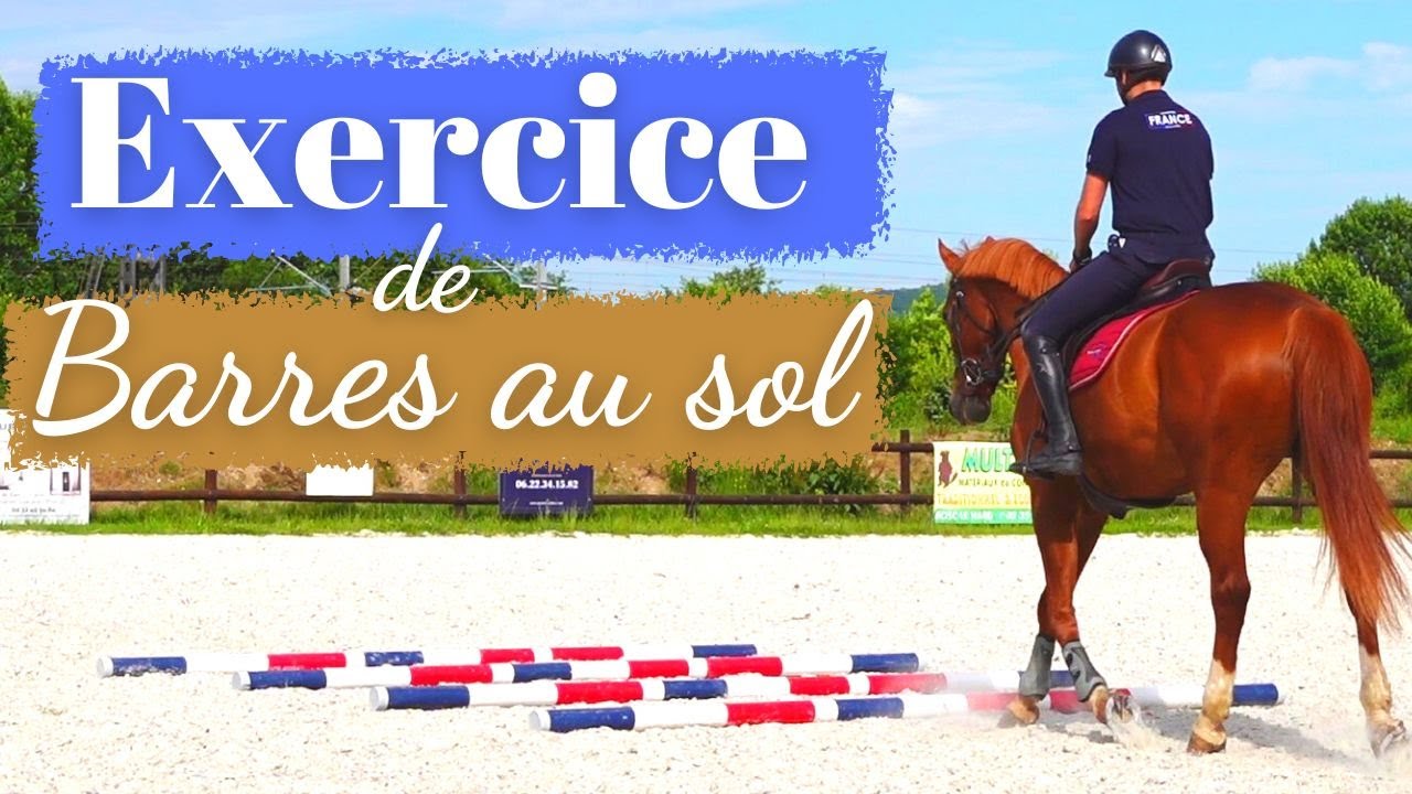 Exercice de barres au sol cheval - YouTube
